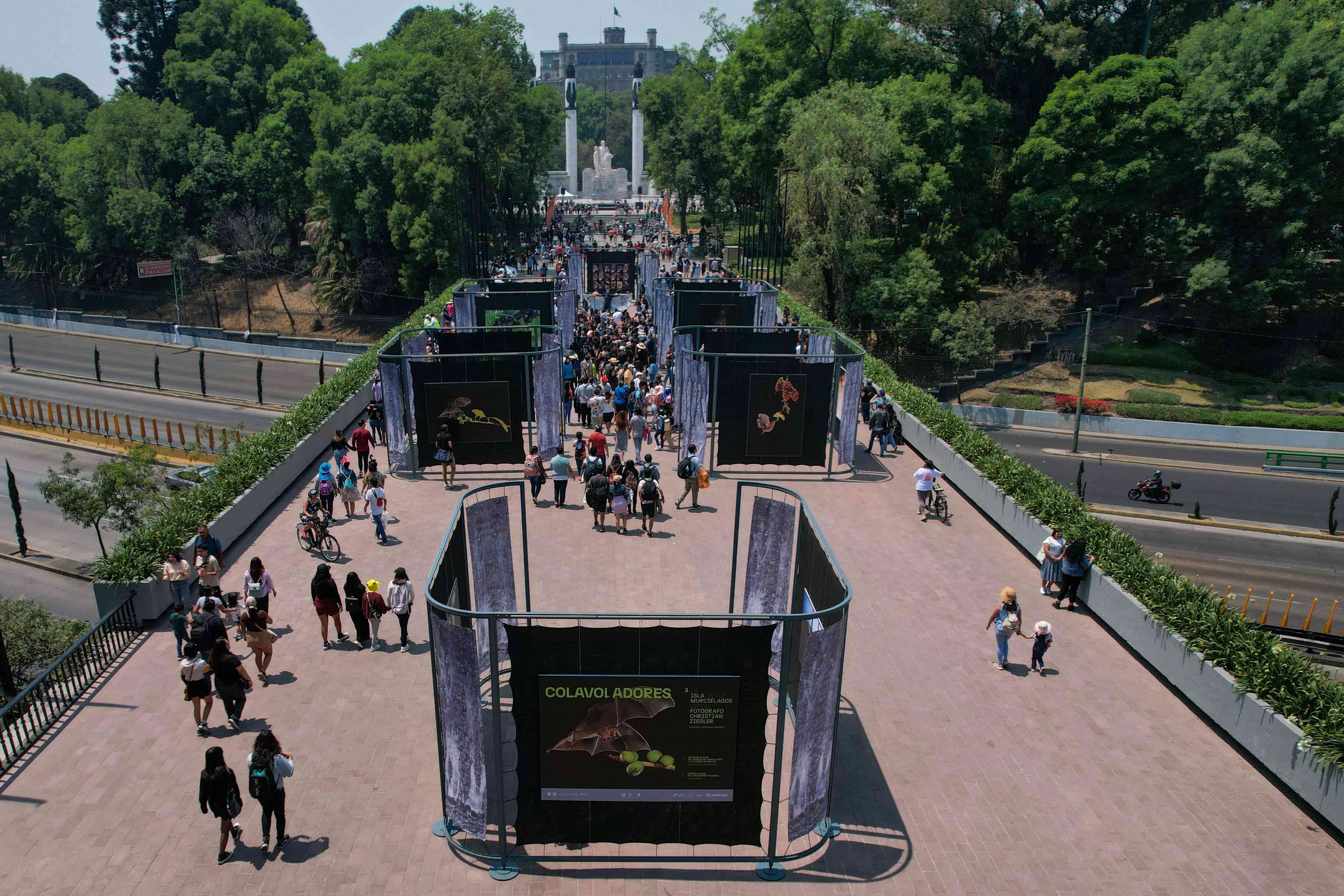 FOTO-  APERTURA DE QUIRÓPTERA, FESTIVAL DEL BOSQUE DE CHAPULTEPEC 2024 (5).jpg